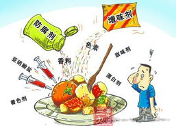 浙江新政 食品添加劑交易備案與住宿服務創新升級