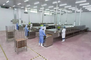 個性化定制，代言你的與眾不同——走訪三大會員企業的匠心之道
